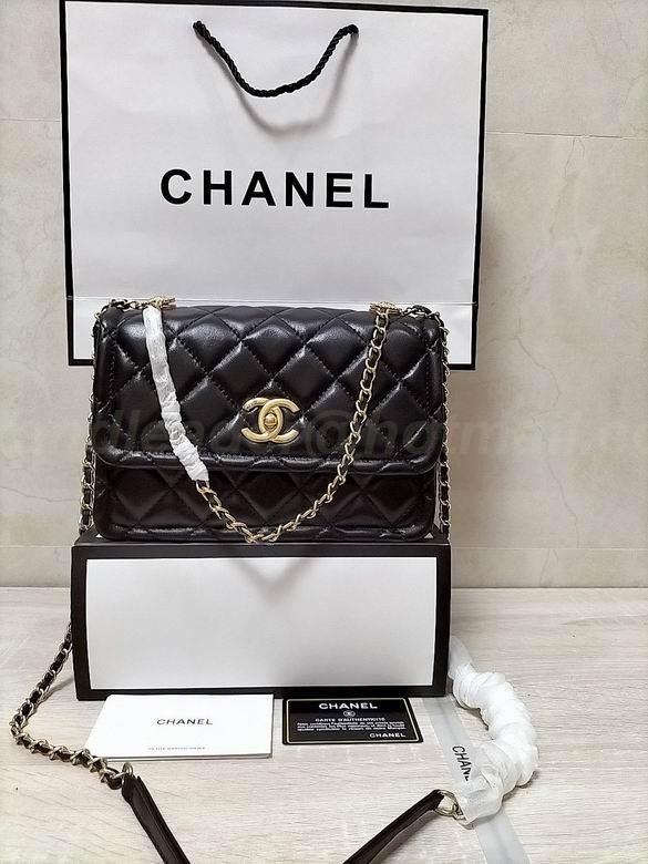 Chanel Handbags 191